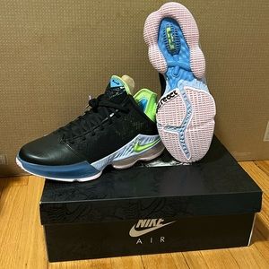 Brand New, Never Worn. Lebron XIX Low Jordans. Size 11.